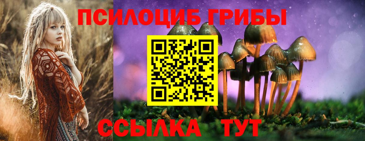 Псилоцибиновые грибы GOLDEN TEACHER Апшеронск